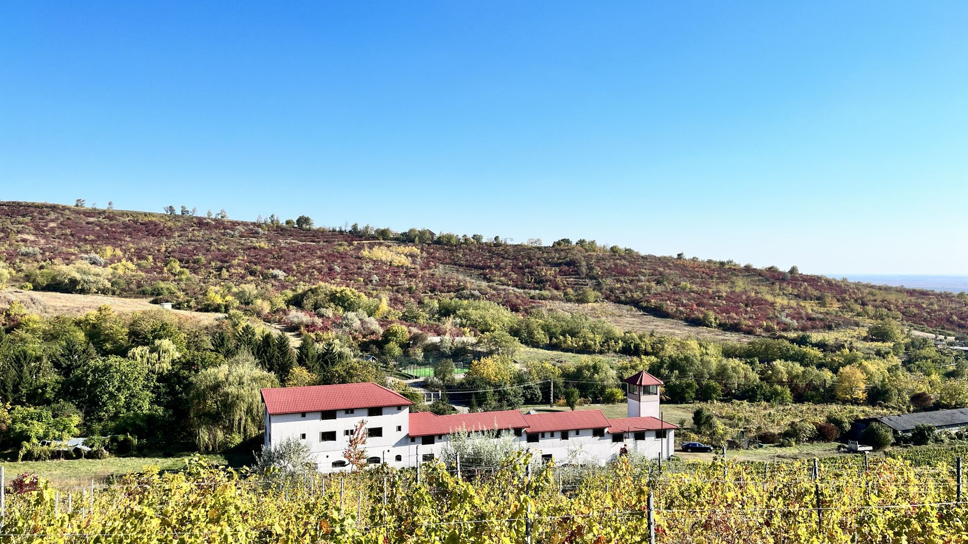 14Ha podgorie, livada pomi fructiferi, si conac 3000mp - Poză 7