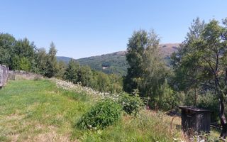 Teren extravilan investiție Rachitele Cluj - 31.555 mp - Poză 6