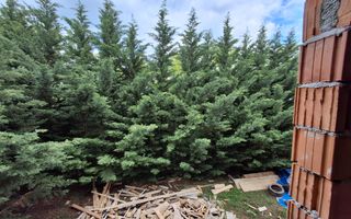 Apartament 3 camere – Predare la cheie  Sibiu, Cristian - Poză 3