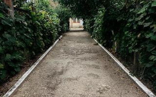 Vila 7 camere -Hala Traian Bucuresti - Poză 16