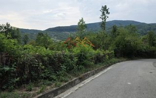 Teren Intravilan, utilitati in zona, 2600 mp, Draganeasa, Prahova - Poză 6