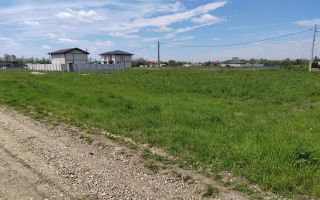 🌿 Teren de vânzare – Răcari, Str. Mestecenilor - Intrarea cu Tei - Poză 5