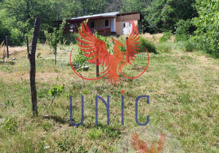 Teren intravilan Cernatesti - Poză 3