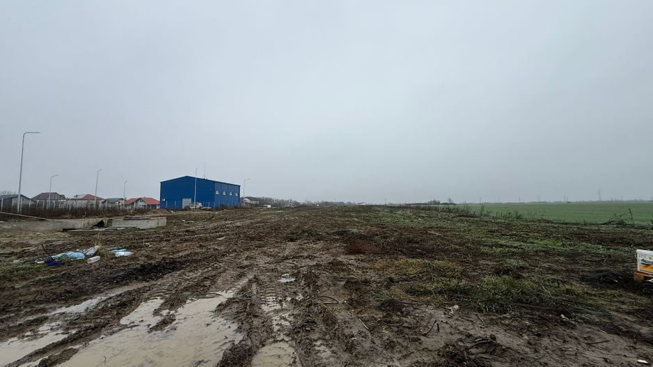 COMISION 0% | Teren Intravilan Covaci | 85 EURO/MP Zona in Dezvoltare - Poză 4