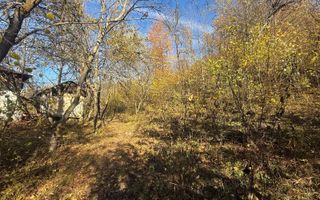 Teren langa pădure 6400mp+casa demolabila-deschidere 35 ml - Poză 3