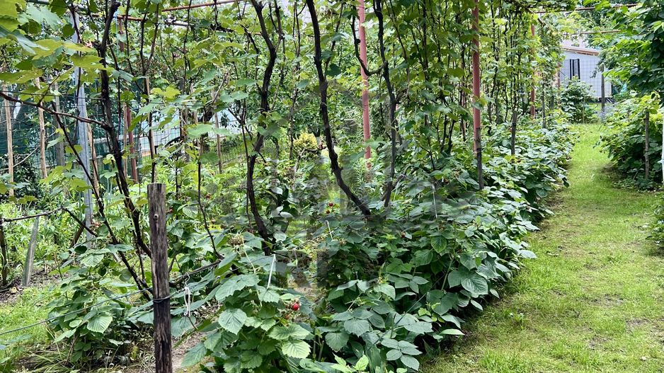 Casa de vanzare 6 camere zona Piata Cluj/Kogalniceanu/Turnisor - Poză 26