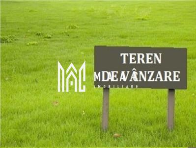 Teren extravilan | 12.300 mp | Zona Dedeman - Poză 2