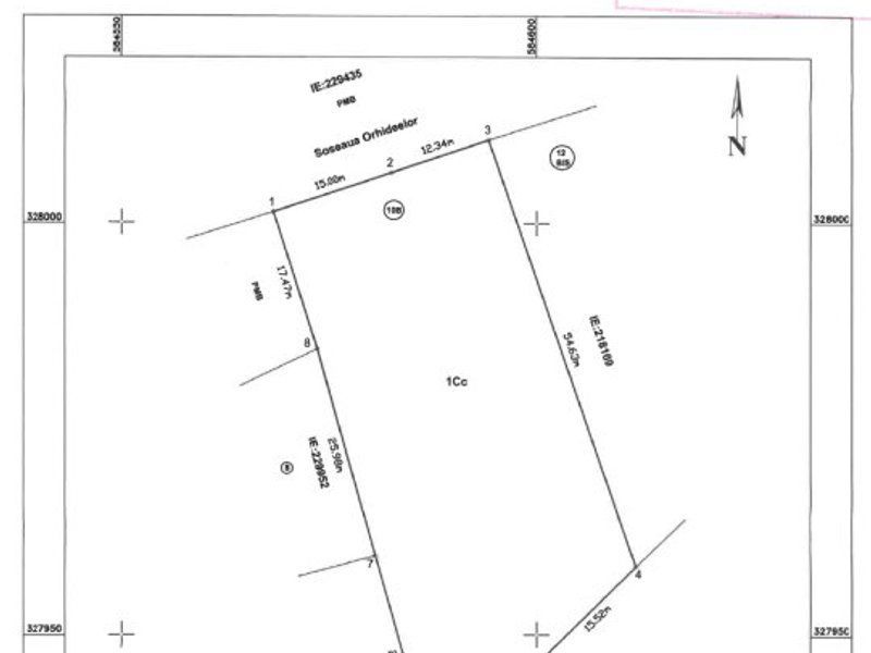 Vanzare teren intravilan Sos. Orhideelor - Grozavesti - Poză 2