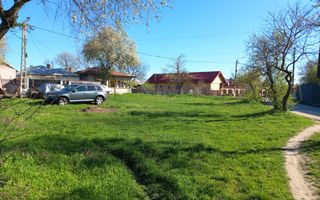 Teren intravilan 2927 mp - com. Domnesti sat Teghes - Poză 1