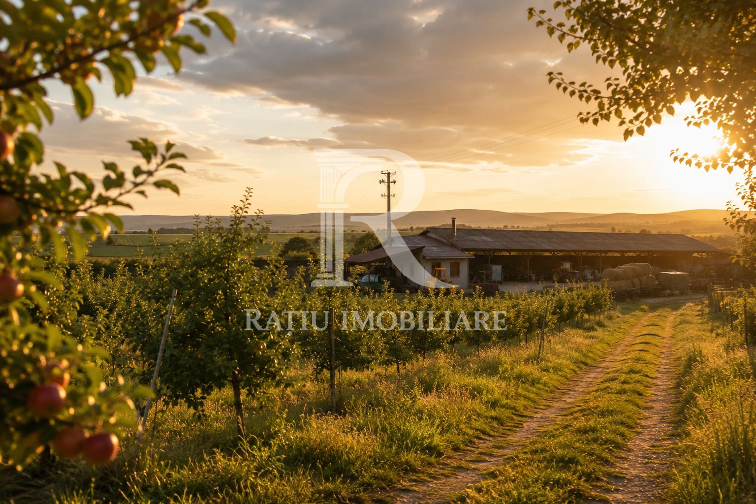 Activ agricol integrat | 67,5 ha | Oportunitate investițională - Poză 1