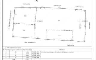 Teren intravilan 2.735 mp, Boșteni, Pașcani, deschidere 32 m - Poză 1