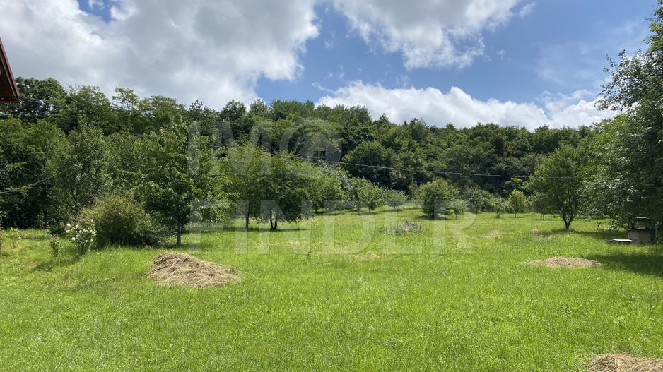 Teren Popesti Deal, 4056 mp, front la strada principala, intravilan - Poză 2