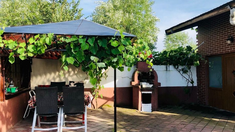 Vila Vulpesti Buzoesti - Poză 43