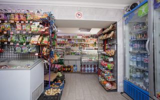 Vânzare, casă + afacere, str. Cetatea Albă, Botanica - Poză 33