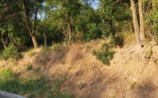 TEREN 1690 MP - ORAS STREHAIA - Poză 6