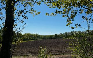 Vânzare, teren agricol, 90 ha, Orhei, satul Seliște - Poză 11