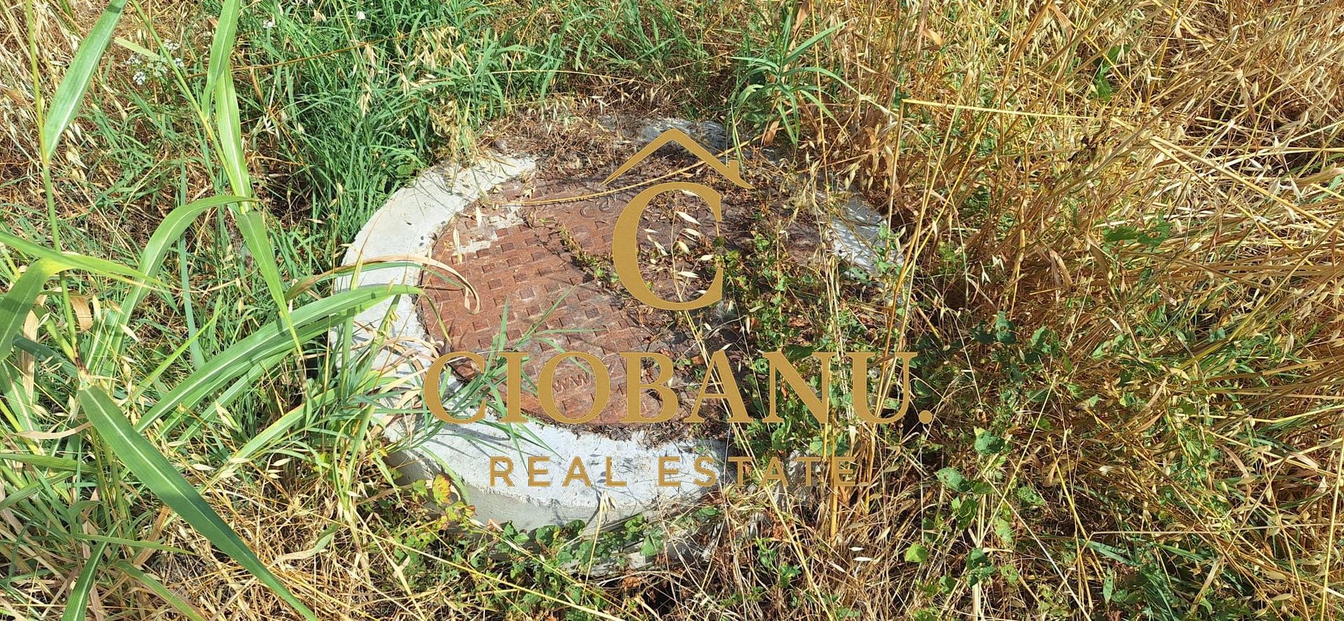 Teren intravilan de vanzare in Isalnita - Poză 2