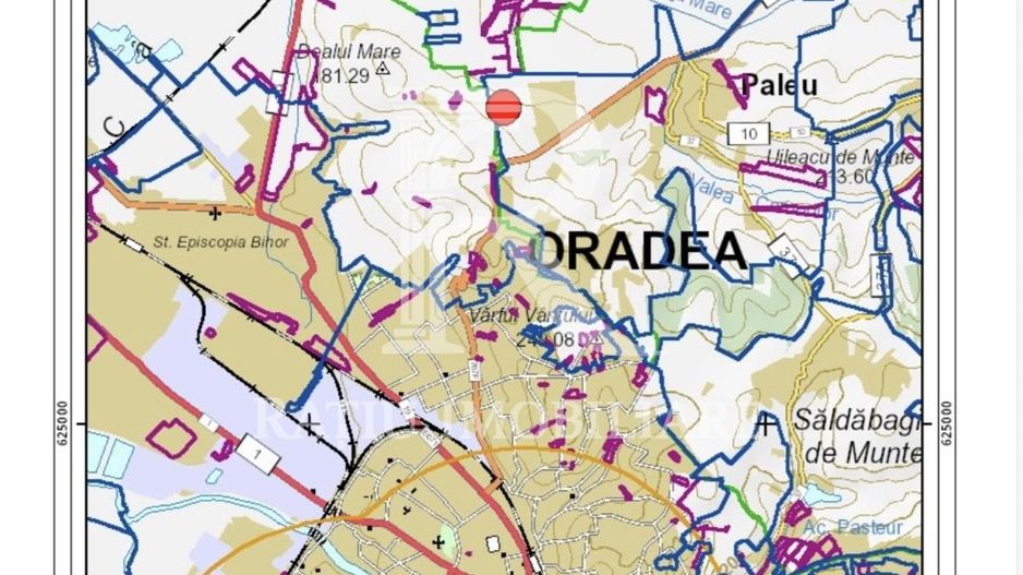 TEREN INTRAVILAN DE VÂNZARE – PALEU | BIHOR - Poză 3