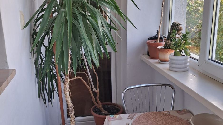 AP. 3 CAMERE BD. BASARABIA, BUCATARIE INCHISA, MOBILAT/UTILAT - Poză 11