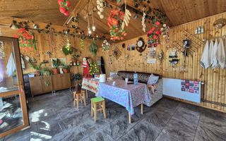 Casa + Magazin (P+1) Fundulea DN3 - Poză 21