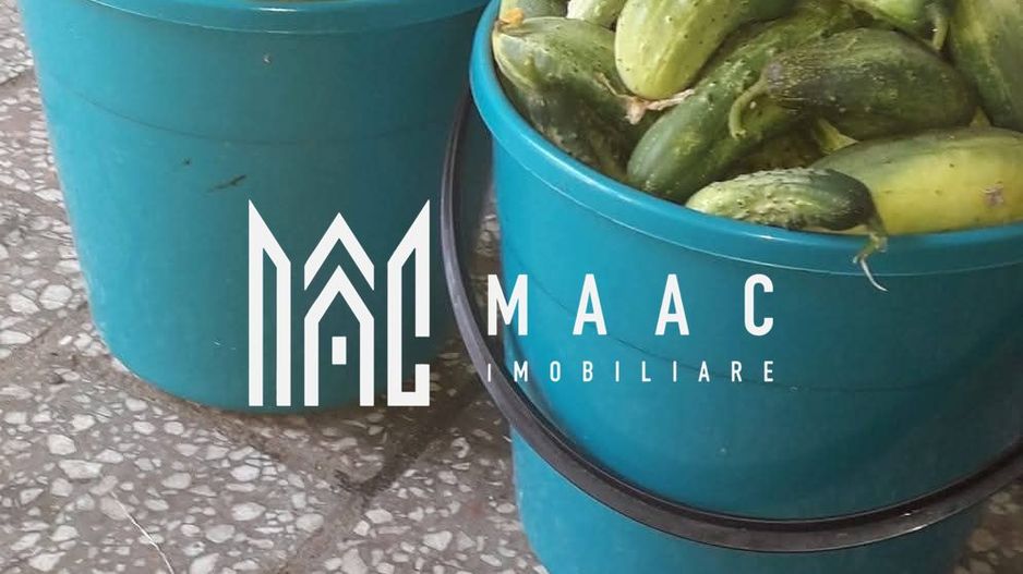 Proprietate cu 60000 mp pamant la pret de apartament - Poză 4