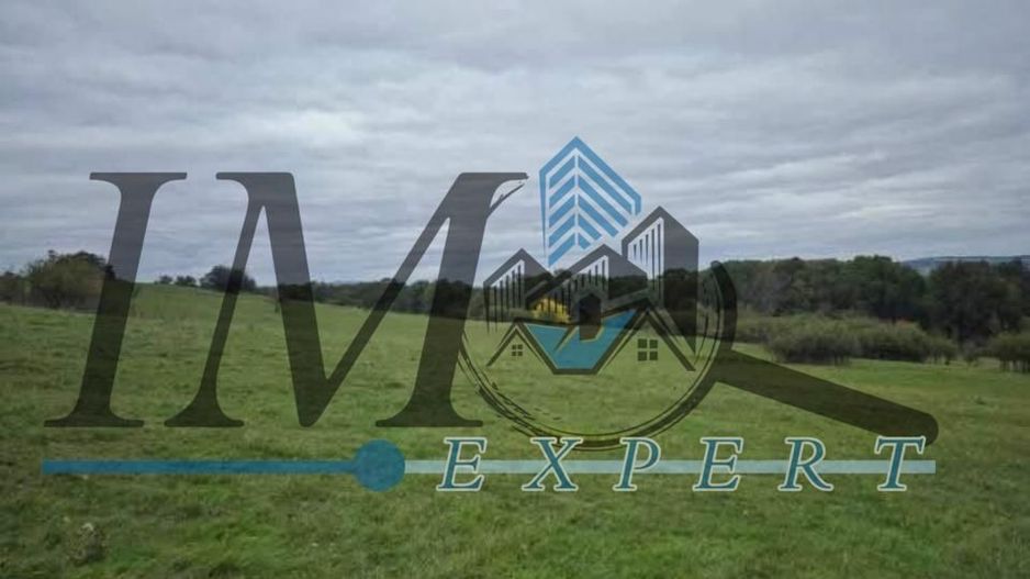 Teren de vanzare in Petresti  Jud Alba extravilan - Poză 4