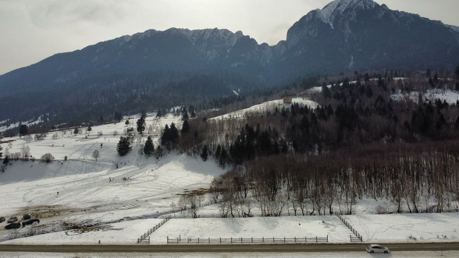 TEREN DE VÂNZARE – ZĂRNEȘTI / PLAIUL FOII – LA ASFALT - 2400 Mp - Poză 4