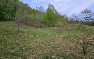 Teren intravilan 1454 mp la marginea padurii zona locuita de case! - Poză 10