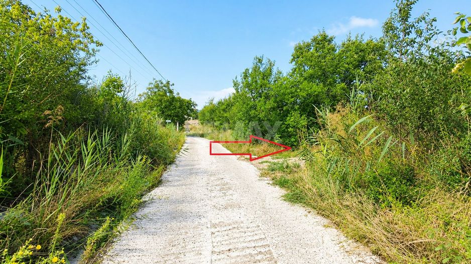 Lot pomiol în Sângera | Î.P. „Roadă Bună” | Zonă Locuită - Poză 4