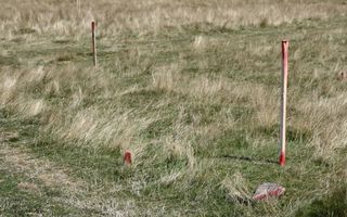 Teren intravilan | 1520mp MP | Pretabil investitie | Paltinis - Poză 2