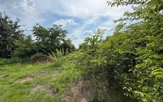 Teren intravilan 498,02 mp langa pădure , strada privata Corbeanca - Poză 14