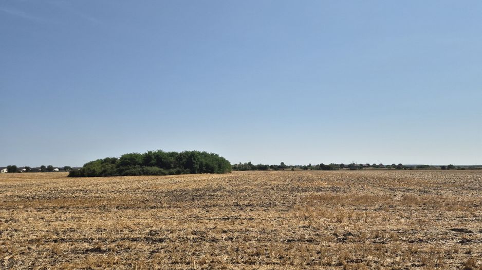 Teren intravilan 4428 mp - Balotesti - Poză 1