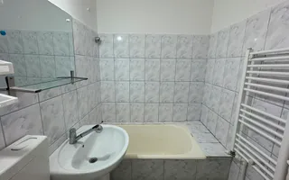 Garsoniera Alexandru cel Bun - Parcul Voievozilor - Poză 11