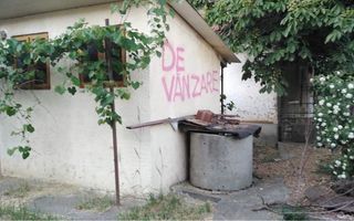 Ocazie Unica-2 Case+1 loc teren - Poză 6