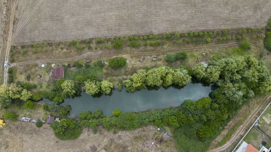 Teren de 7900 mp cu baltă de pescuit în Frumușeni - Poză 9