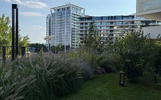 Studio premium , Prima Vista, Vedere liberă - Poză 10
