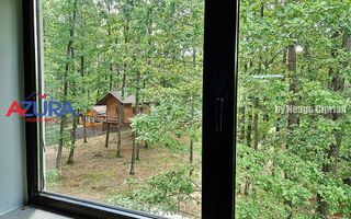 Casă de vacanță în pădure, 10 km de Pitești - Babana - Poză 10