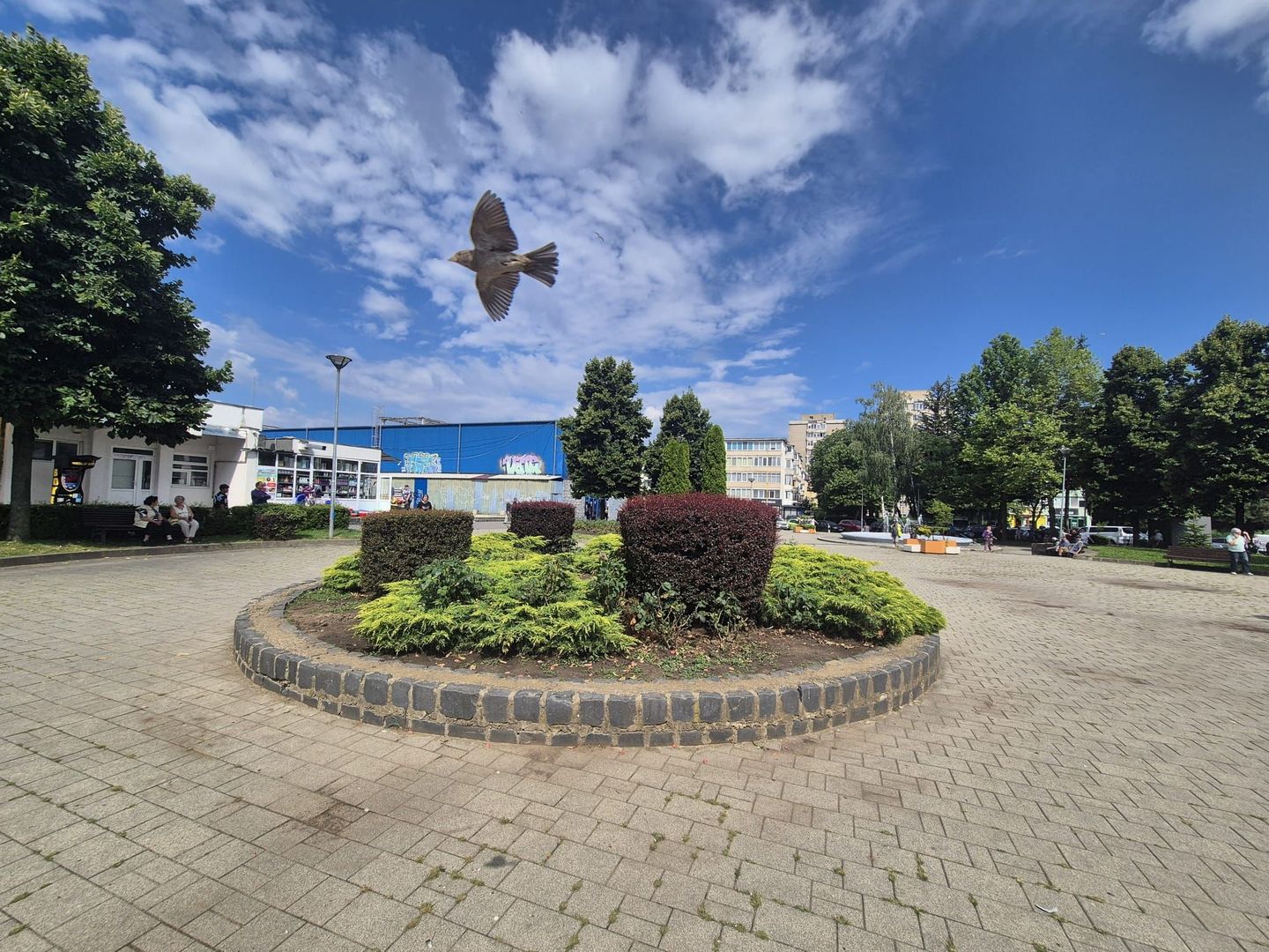 Exclusivitate- Spațiu comercial – Piața Astra, Brașov | 375 mp , Vad - Poză 3