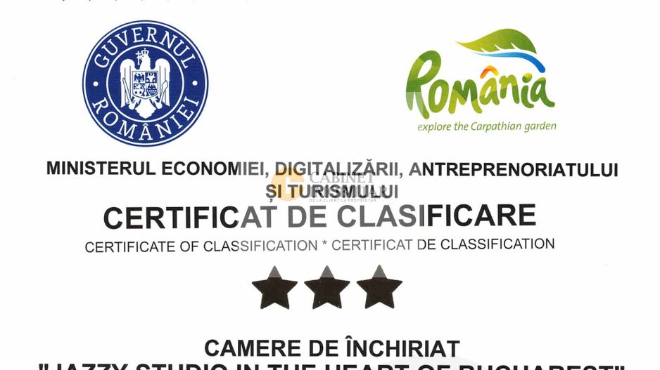 Garsoniera in AIRBNB I Cismigiu I Parter I 1961 - Poză 15