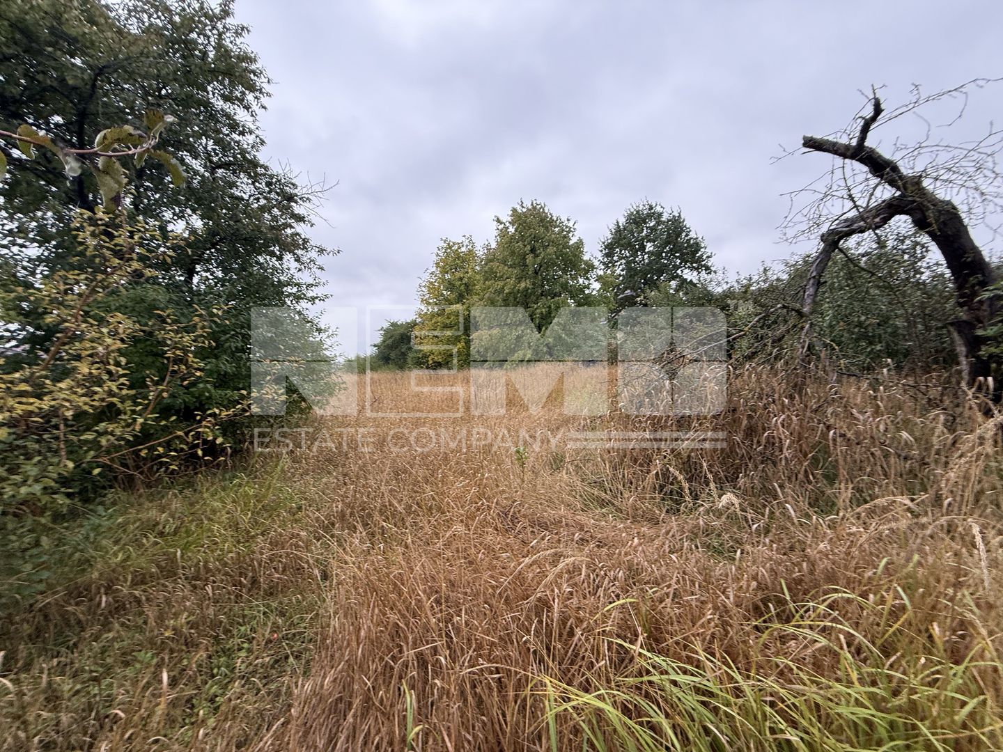 Casă + Teren 1556 mp | Zona Centrală | Front 16 m | 118.000 € - Poză 5