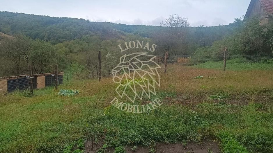 2 Case 100 mp -teren 3576mp-livada-garaj-Enciu 37 km de Bistrita - Poză 7