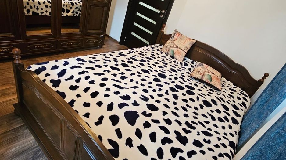 Apartament 3 camere renovat, mobiliat si utilat, zona 13 Septembrie Pet Friendly - Poză 3