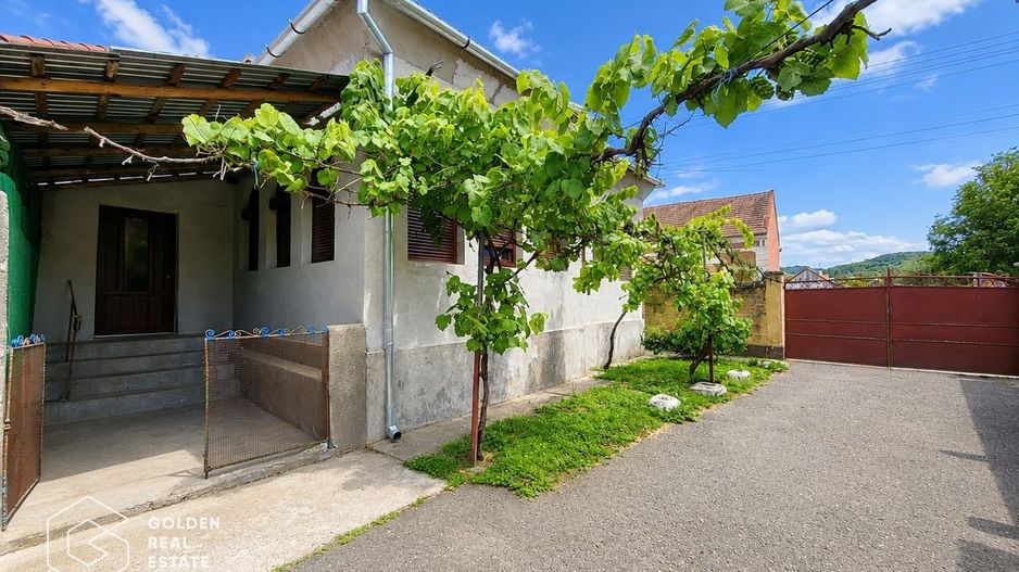 Casa stil brancovenesc, 2 corpuri, localitatea Ususau - Poză 24