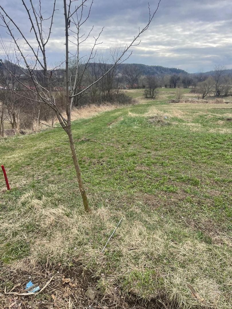 Vânzare teren 3145 mp – Mănăstirea Cașin, Onești - Poză 5