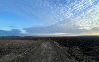 TEREN EXTRAVILAN | 82 ARI | PERIFERIA ORASULUI - Poză 8