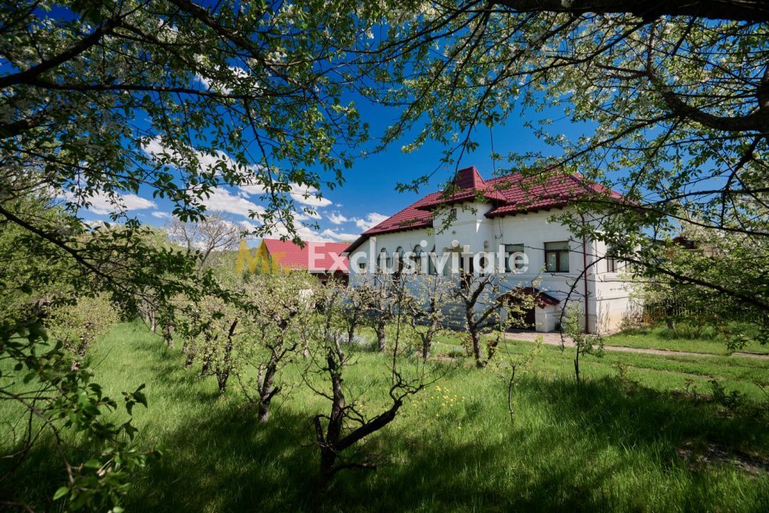 Casa Valea Mare Pravat (Campulung-Arges ) - farmec interbelic - Poză 16
