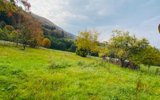 Casa + teren 1700 mp langa Padure Bran/ Predelut - Poză 5