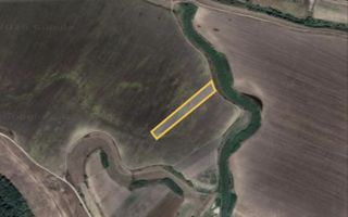 Teren Agricol de Vanzare, 1,95 ha, Popricani - Poză 7