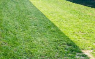 Spatiu Comercial de Vanzare in Onesti - Poză 7