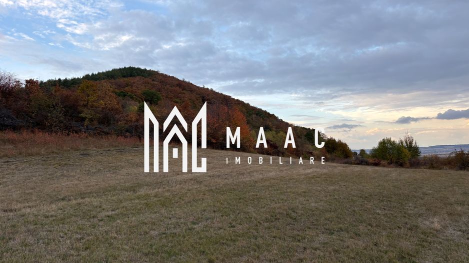 Teren de vânzare 5.000 mp | Poplaca | lângă pădure - Poză 4